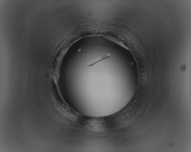 X0000091210756200708231607