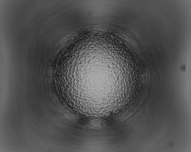 X0000091210757200708231607