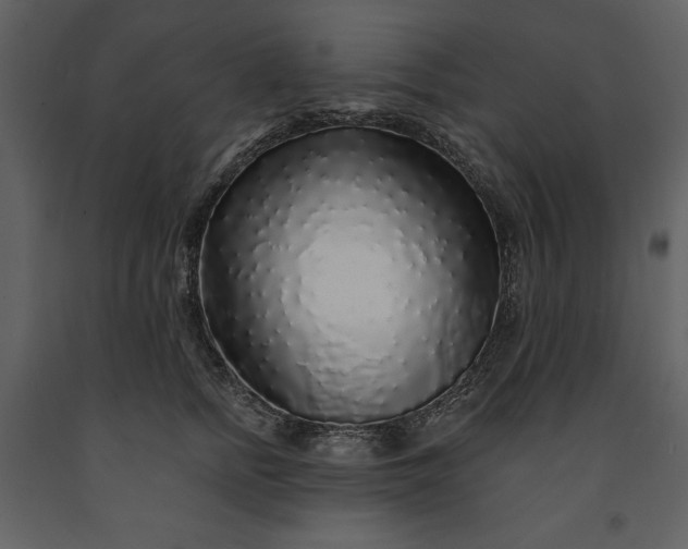 X0000091210758200708231607