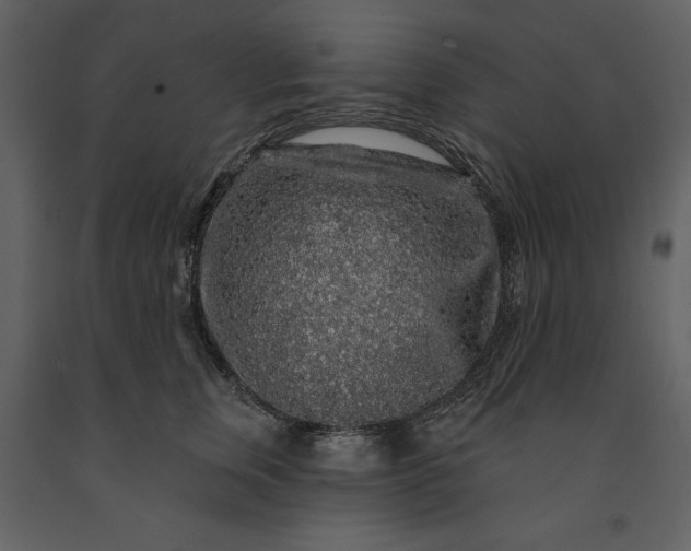 X0000091210759200708231607