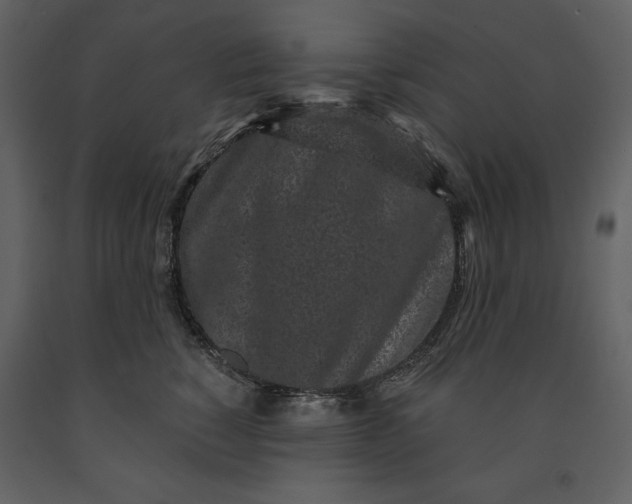 X0000091210760200708231607