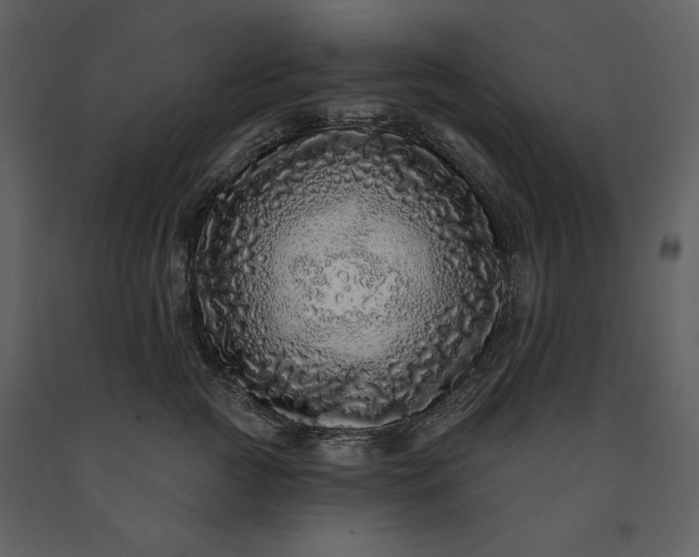 X0000091210761200708231607