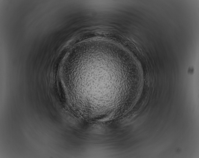 X0000091210763200708231607