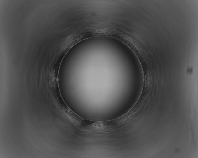 X0000091210764200708231607