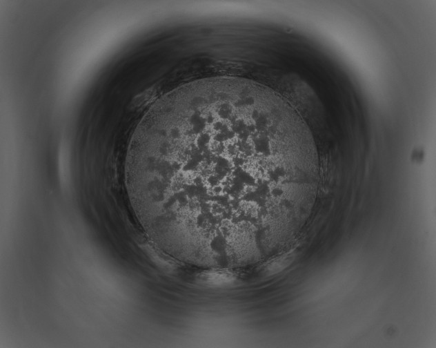 X0000091210765200708231607