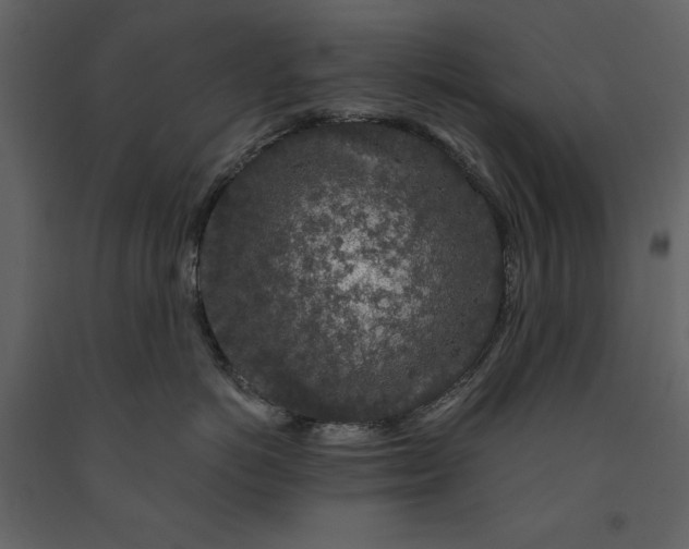X0000091210766200708231607