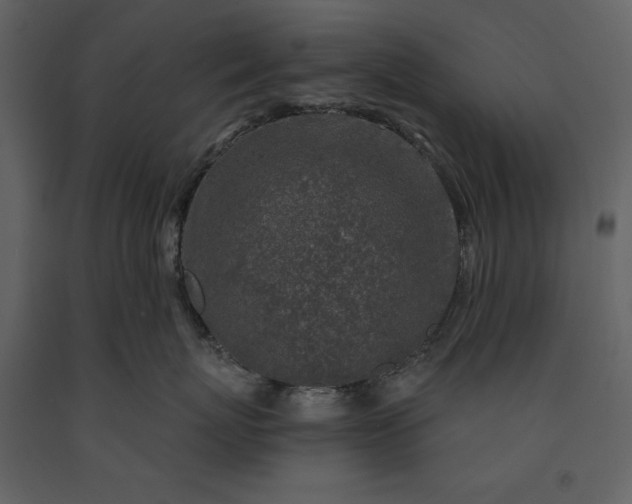 X0000091210767200708231607