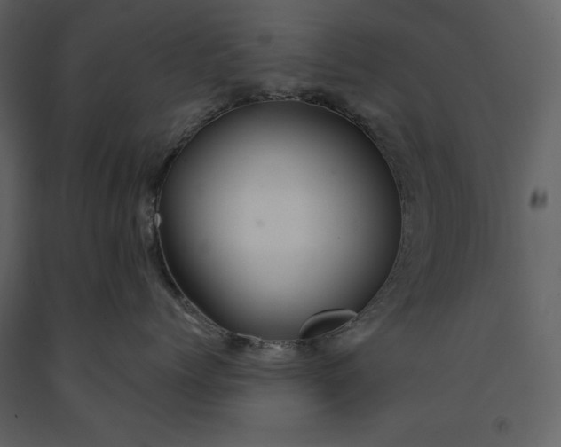 X0000091210768200708231607