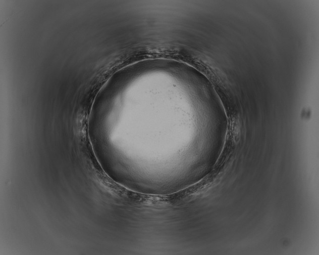 X0000091210770200708231606