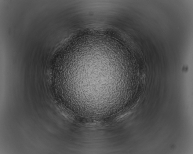 X0000091210772200708231606