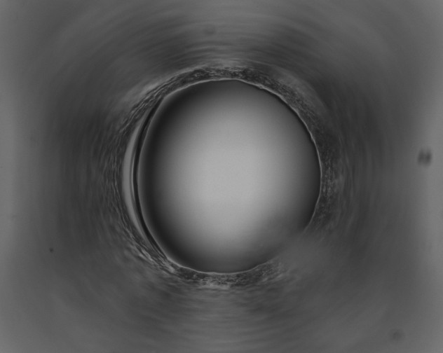 X0000091210773200708231606