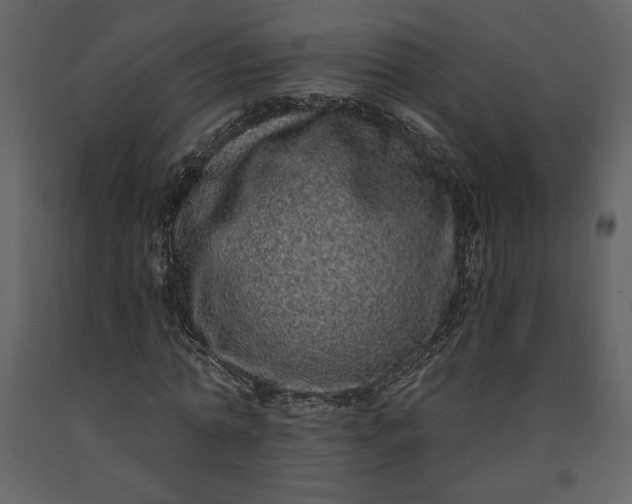 X0000091210774200708231606