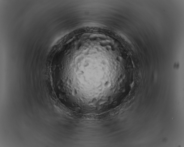 X0000091210775200708231606