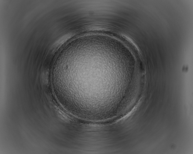 X0000091210777200708231606