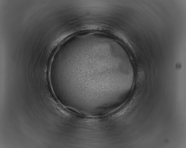 X0000091210778200708231606