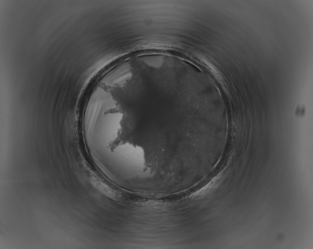 X0000091210779200708231606