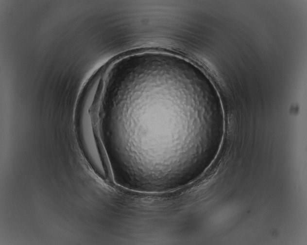 X0000091210780200708231606