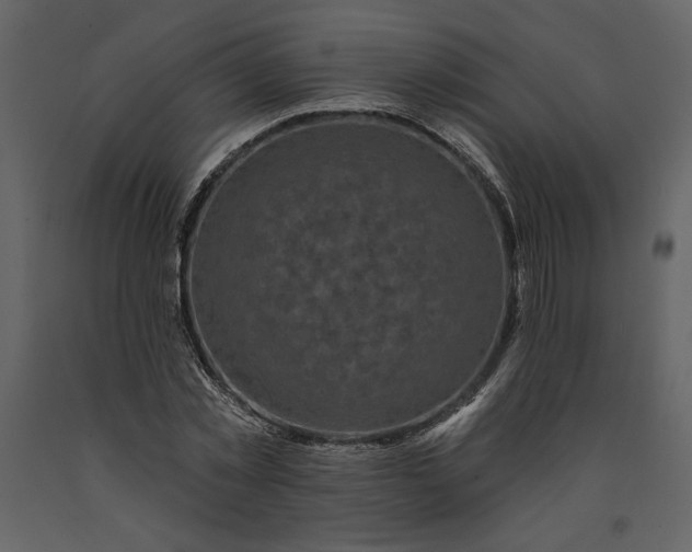 X0000091210781200708231606