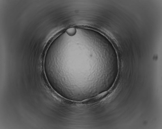 X0000091210782200708231606