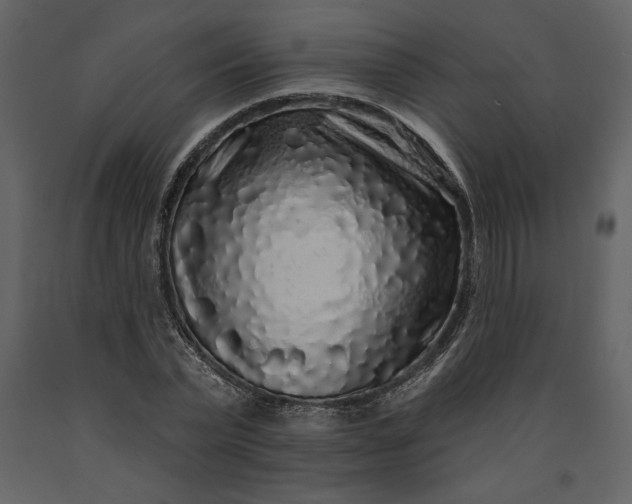 X0000091210783200708231606