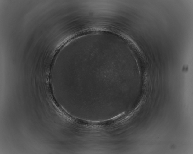 X0000091210785200708231606