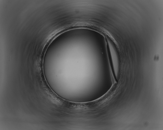 X0000091210786200708231606