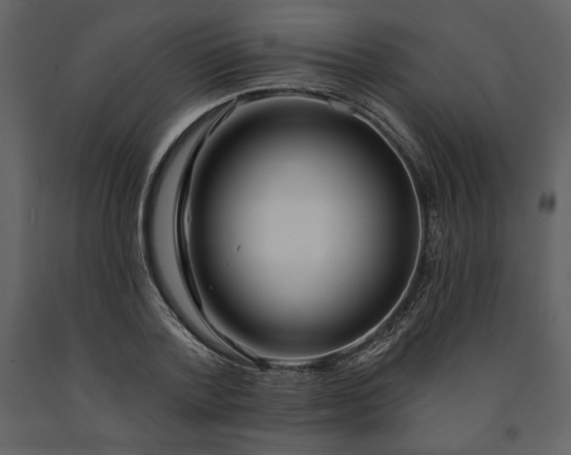 X0000091210788200708231606