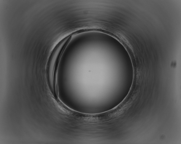 X0000091210789200708231606