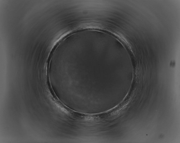 X0000091210790200708231606