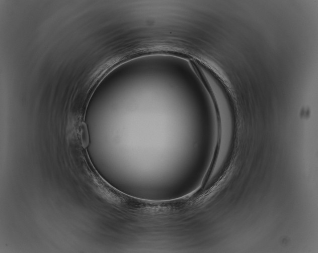 X0000091210793200708231606