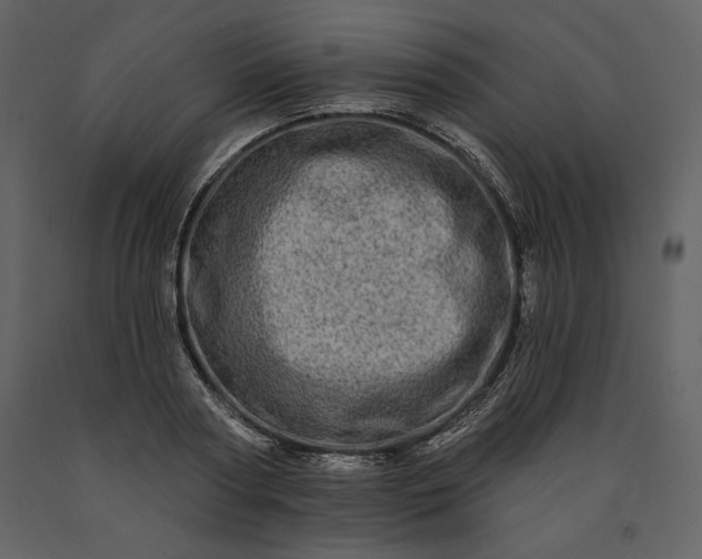 X0000091210794200708231606