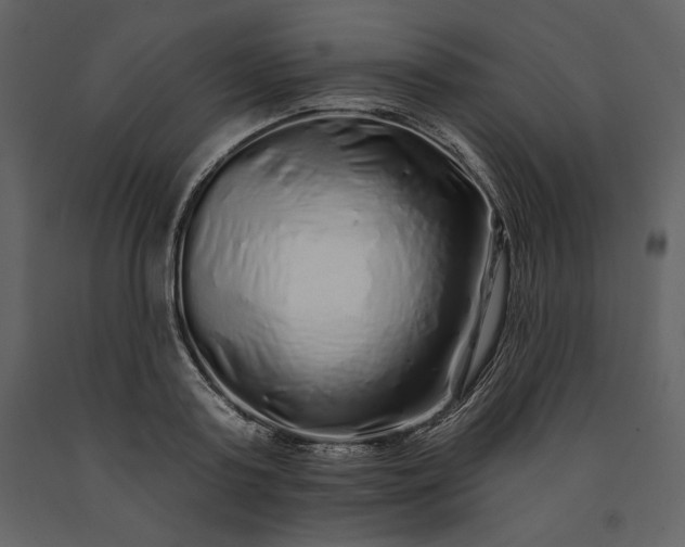X0000091210795200708231606