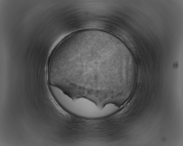 X0000091210796200708231606