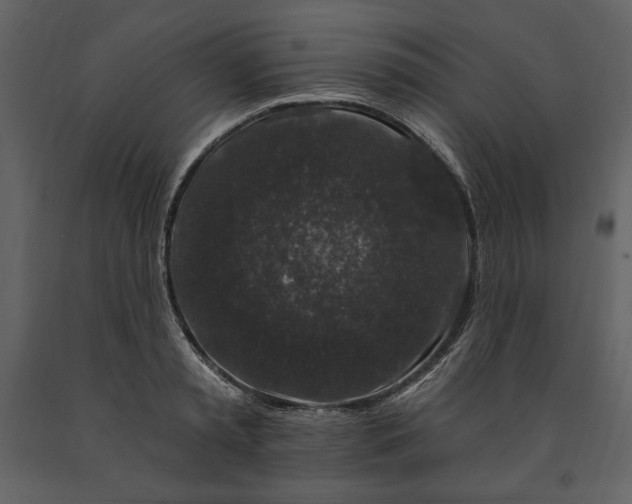 X0000091210797200708231606