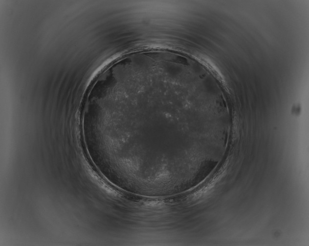 X0000091210798200708231606