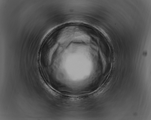 X0000091210799200708231606