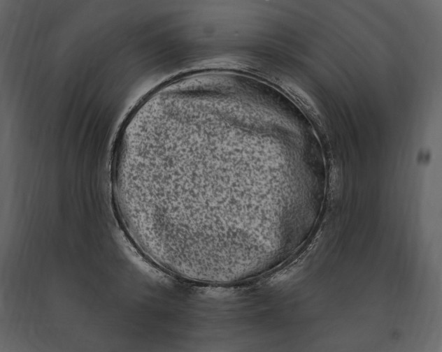 X0000091210800200708231606