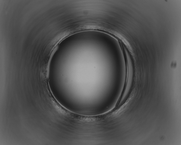X0000091210801200708231606