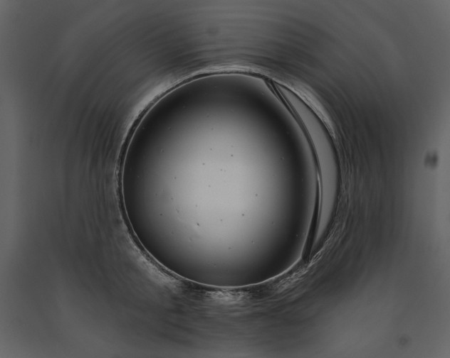 X0000091210805200708231606