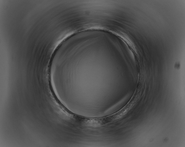 X0000091210806200708231606