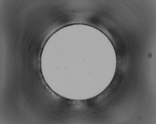 X0000091210807200708231606