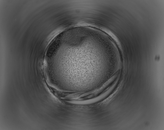 X0000091210809200708231606