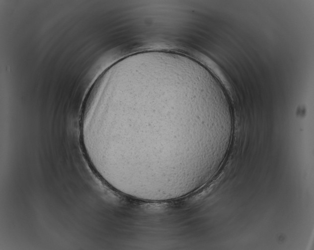 X0000091210810200708231606