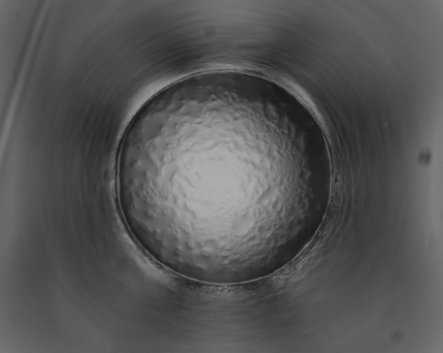 X0000091210811200708231606