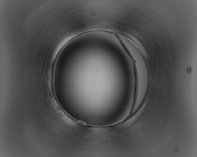 X0000091210812200708231606