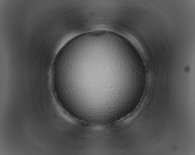 X0000091210814200708231606