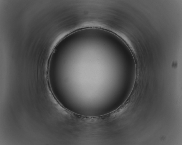 X0000091210815200708231606