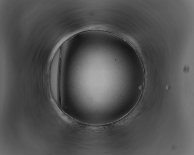 X0000091210816200708231606
