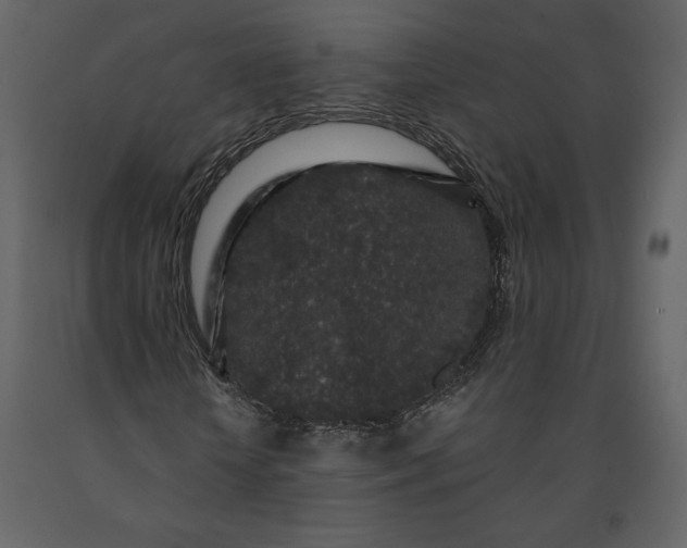 X0000091210818200708231605