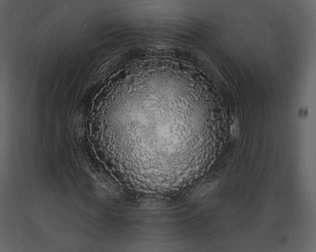 X0000091210819200708231605